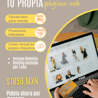 Diseñamos tu página Web por solo $1850